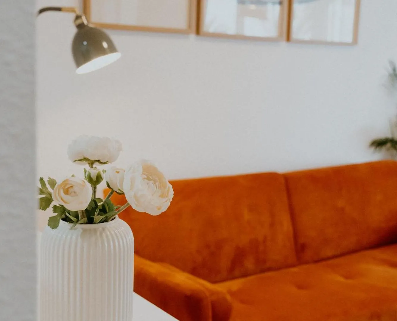 Apartamento Hermi 托罗克斯科斯塔