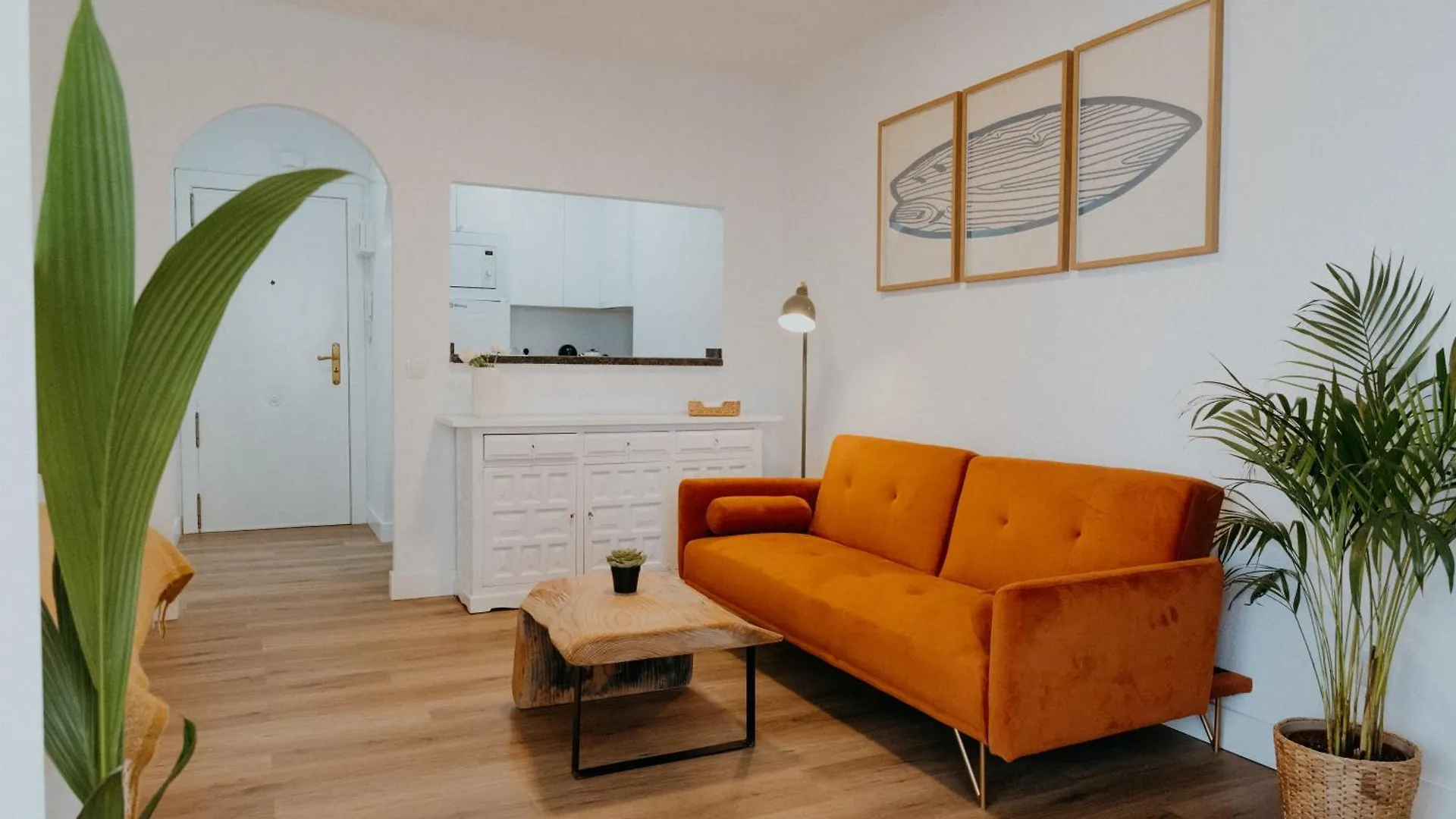 דירה טורוקס Apartamento Hermi